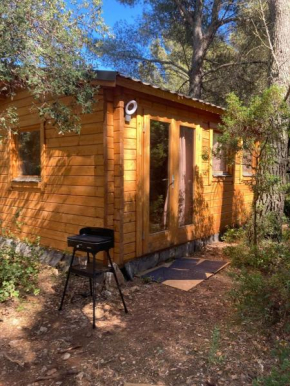 Chalet dans la garrigue provençale